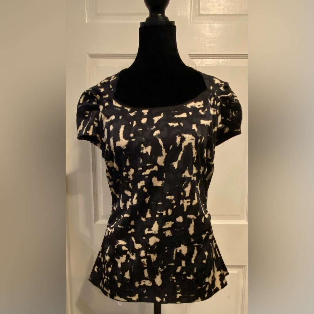 Ann Taylor Fitted Wide Neck Top